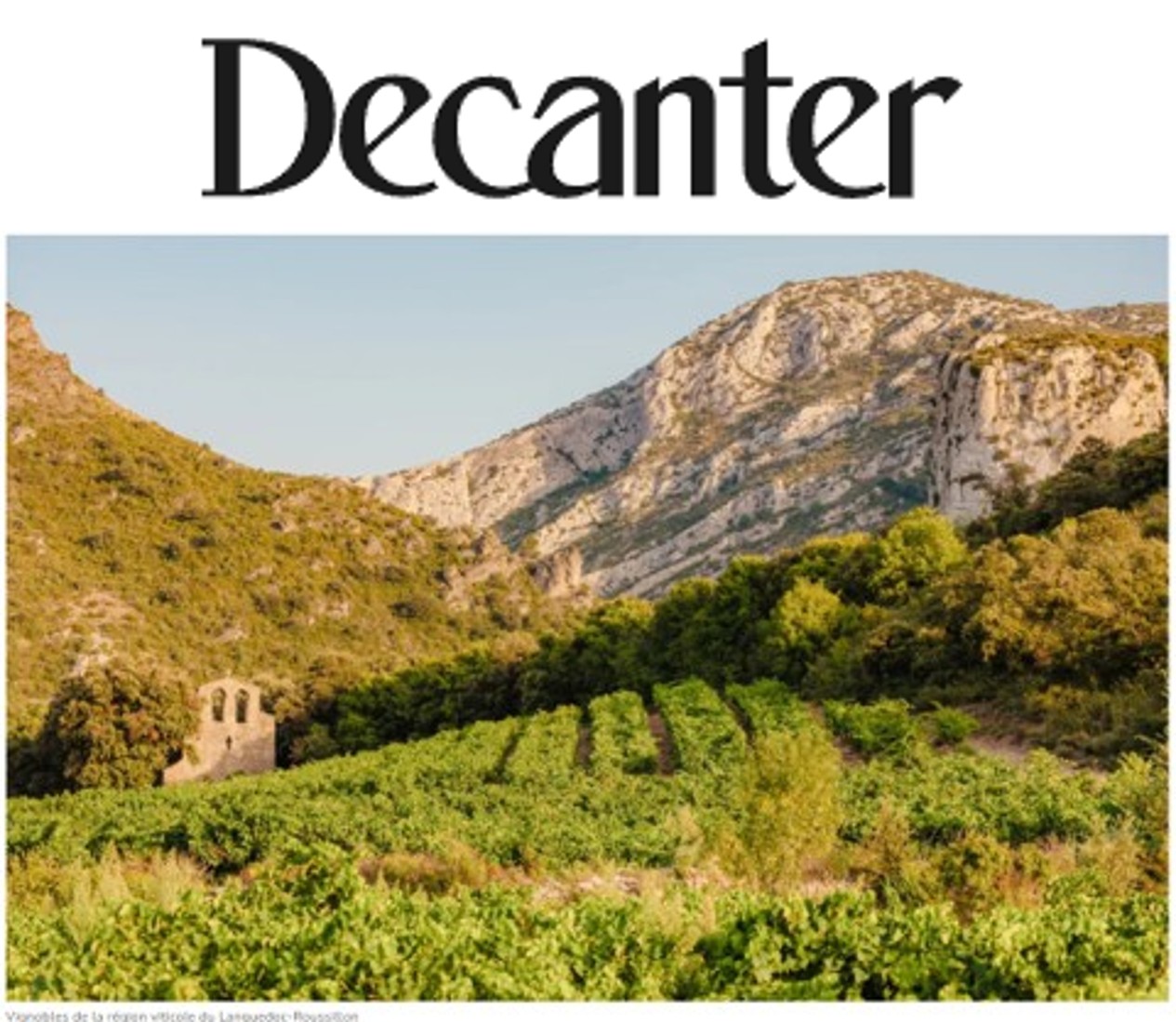 décanter image 1